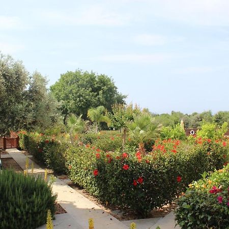 Kavalla Forest Villas Paphos Exterior photo