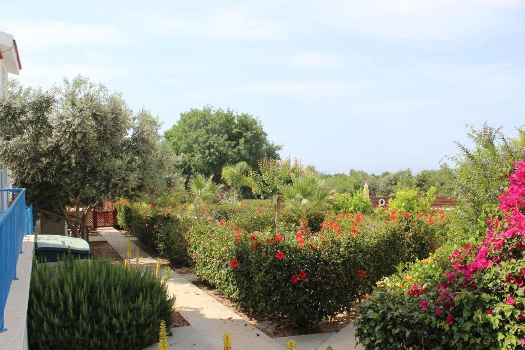 Kavalla Forest Villas Paphos Exterior photo
